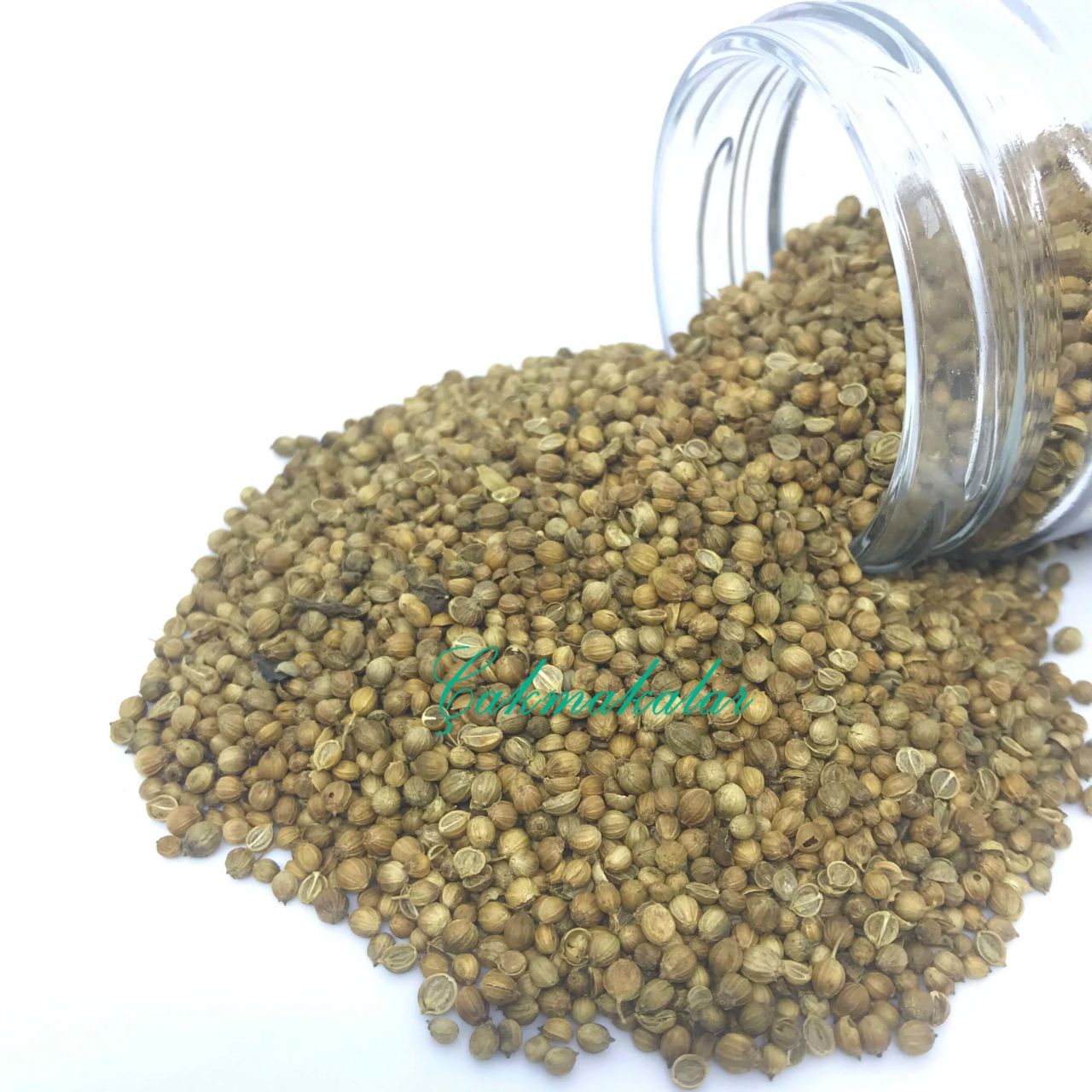 Kişniş Tüm 100 GR