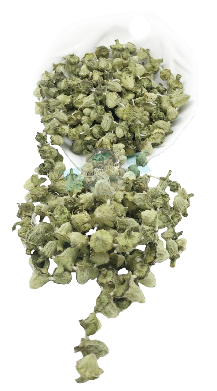 Bamya Kurusu Çiçek