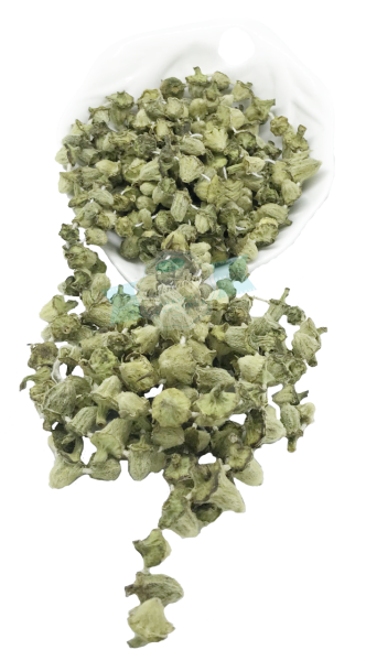 Bamya Kurusu Çiçek