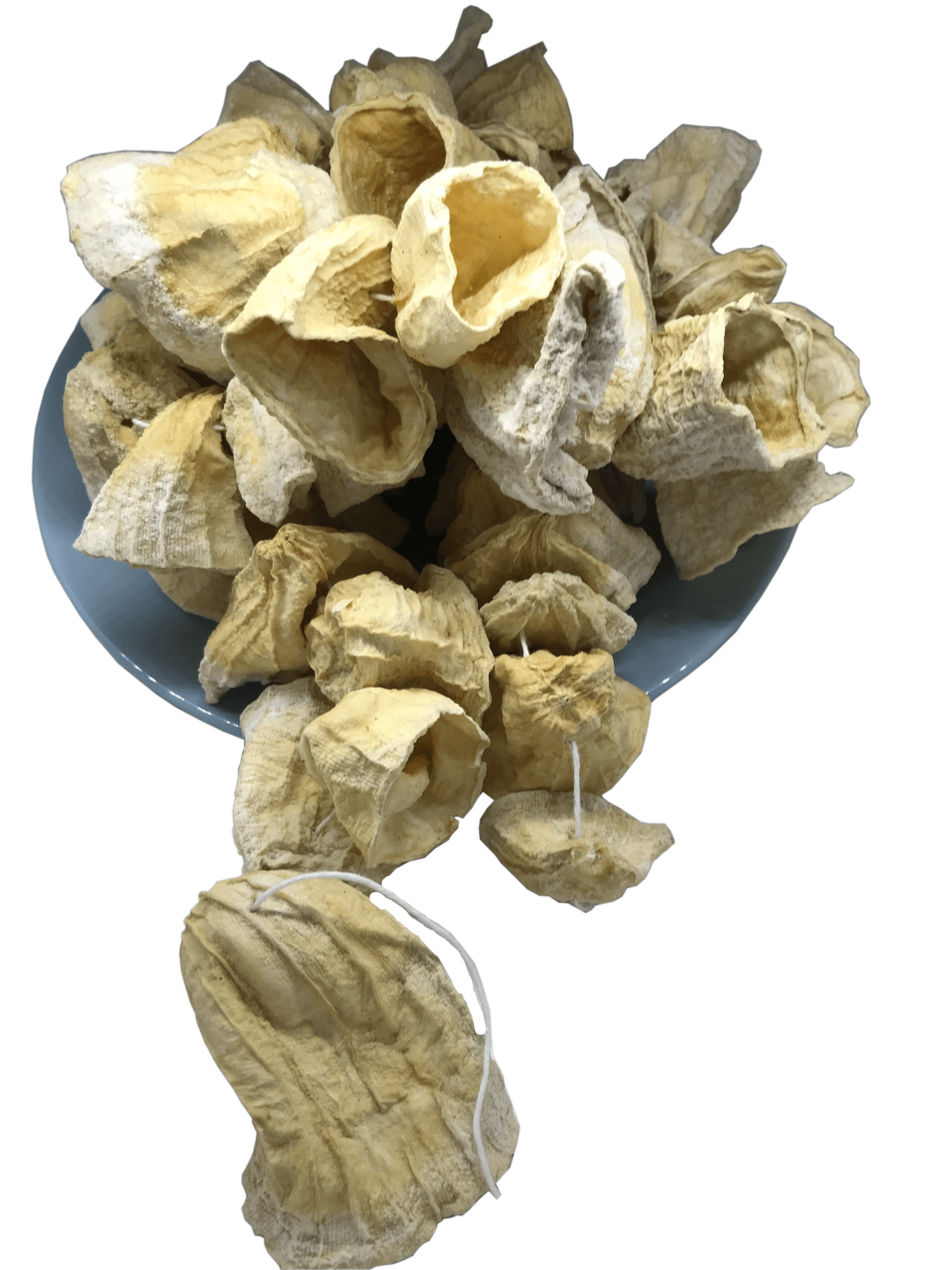 Kabak Kurusu ( 1 Bağ.)