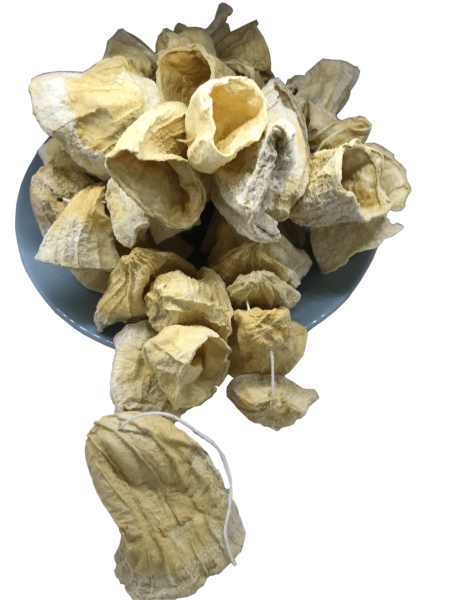 Kabak Kurusu ( 1 Bağ.)